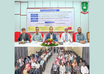 গাকৃবিতে গমের ব্লাস্ট রোগ দ্রুত শনাক্তকরণ কিটের কার্যকারিতা যাচাই শীর্ষক কর্মশালা অনুষ্ঠিত