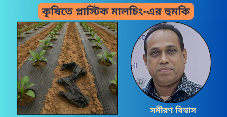 কৃষিতে প্লাস্টিক মালচিং-এর হুমকি